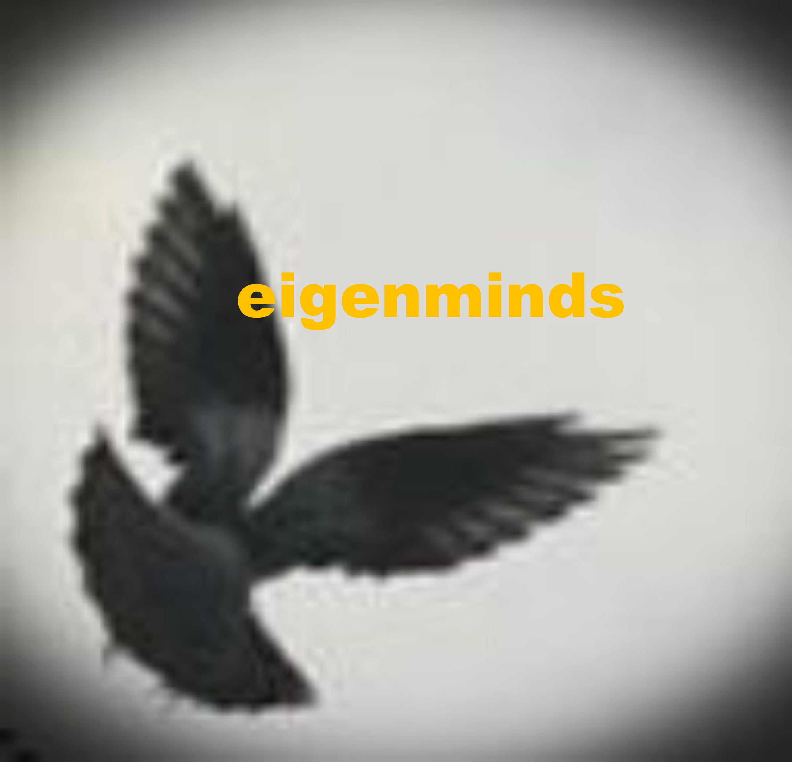 EIGENMINDS in Concert